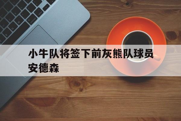 小牛队将签下前灰熊队球员安德森的简单介绍