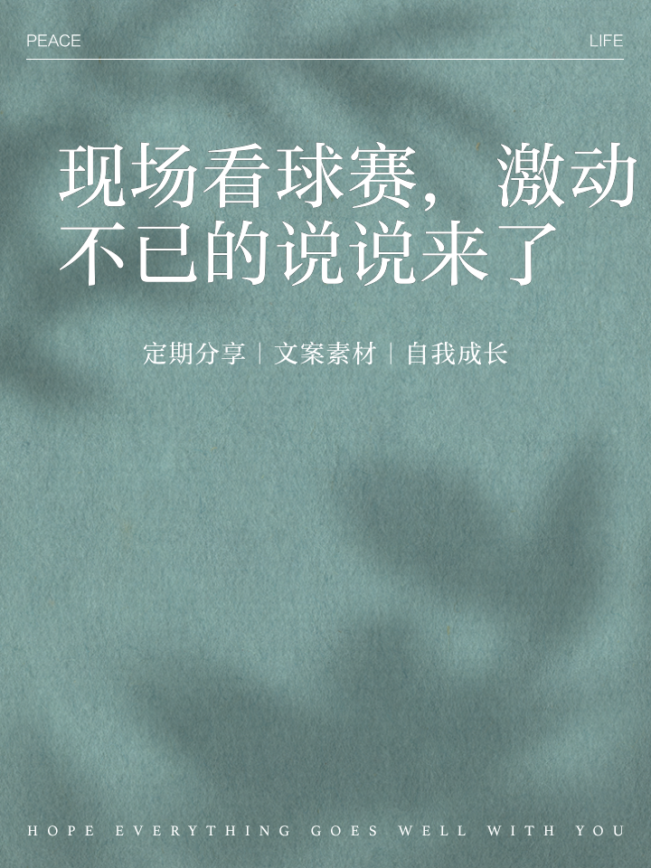 关于一场激动人心的球赛，场面惊险刺激，谁能尽享胜利果实？的信息